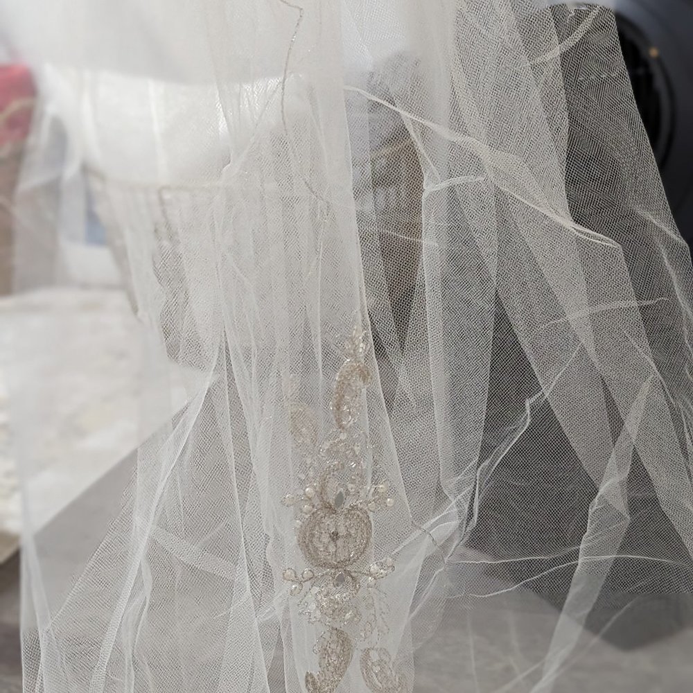 David's Bridal Veil